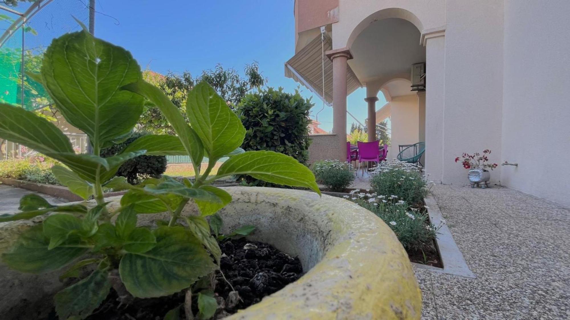 Apartments Villa Rotim Zadar Exterior foto